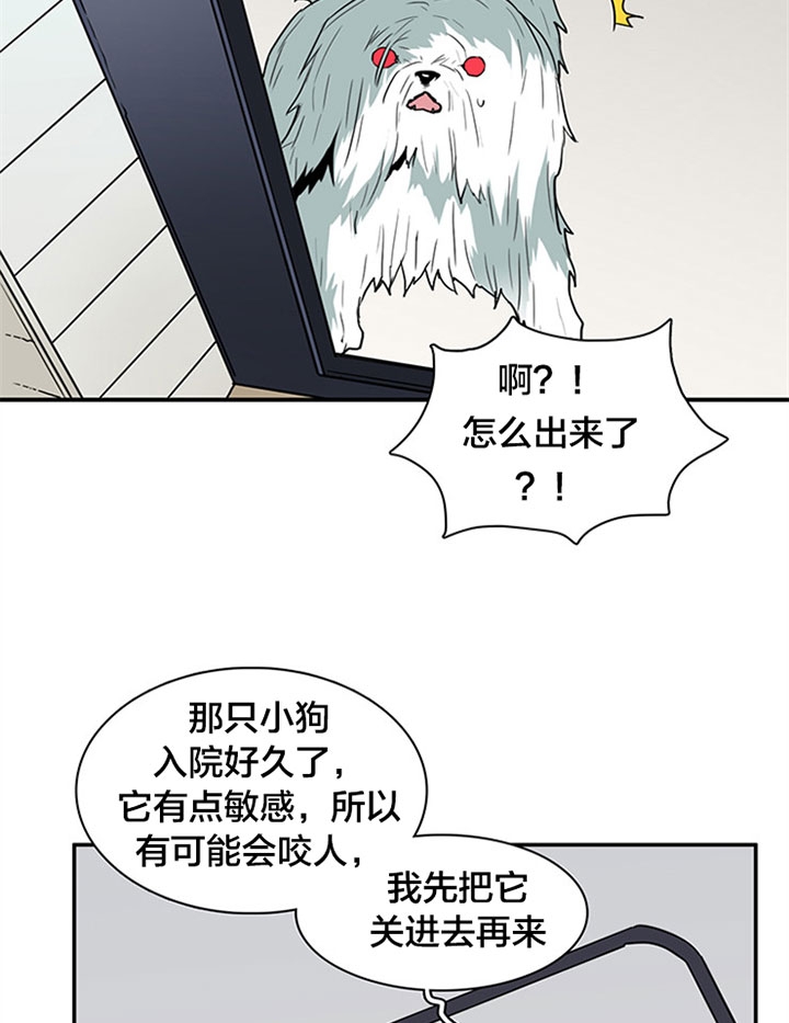 《Dear door》漫画最新章节第125话免费下拉式在线观看章节第【6】张图片