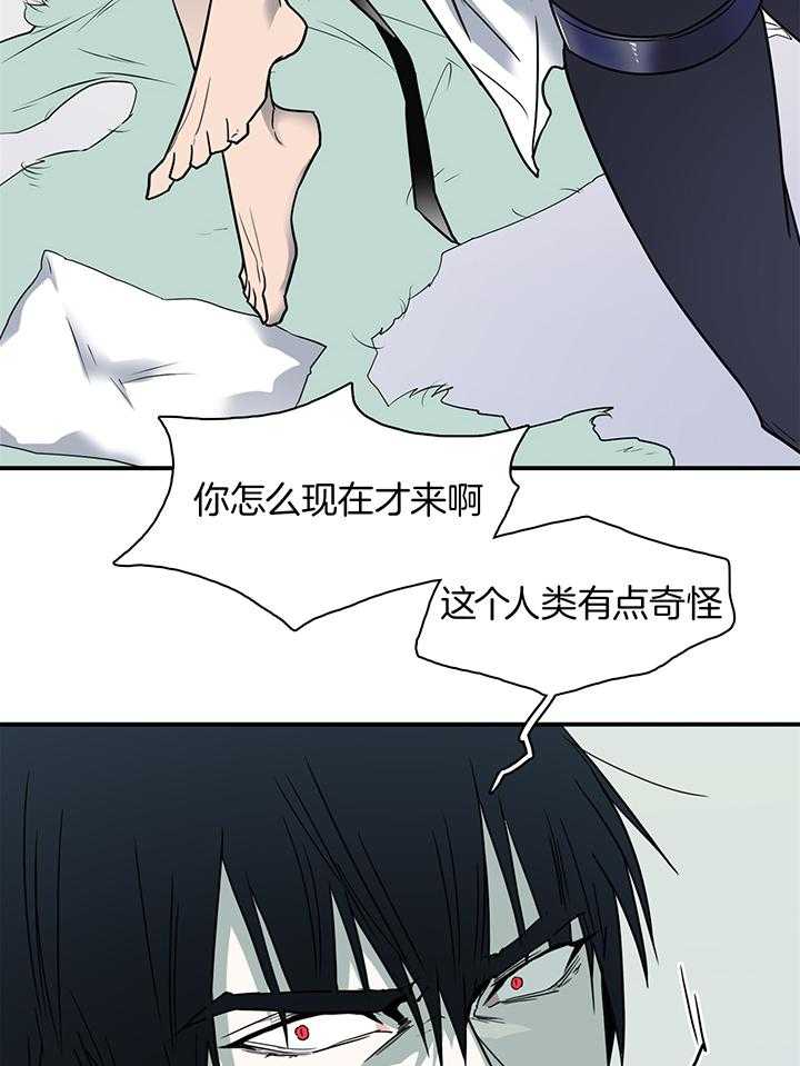 《Dear door》漫画最新章节第244话免费下拉式在线观看章节第【43】张图片