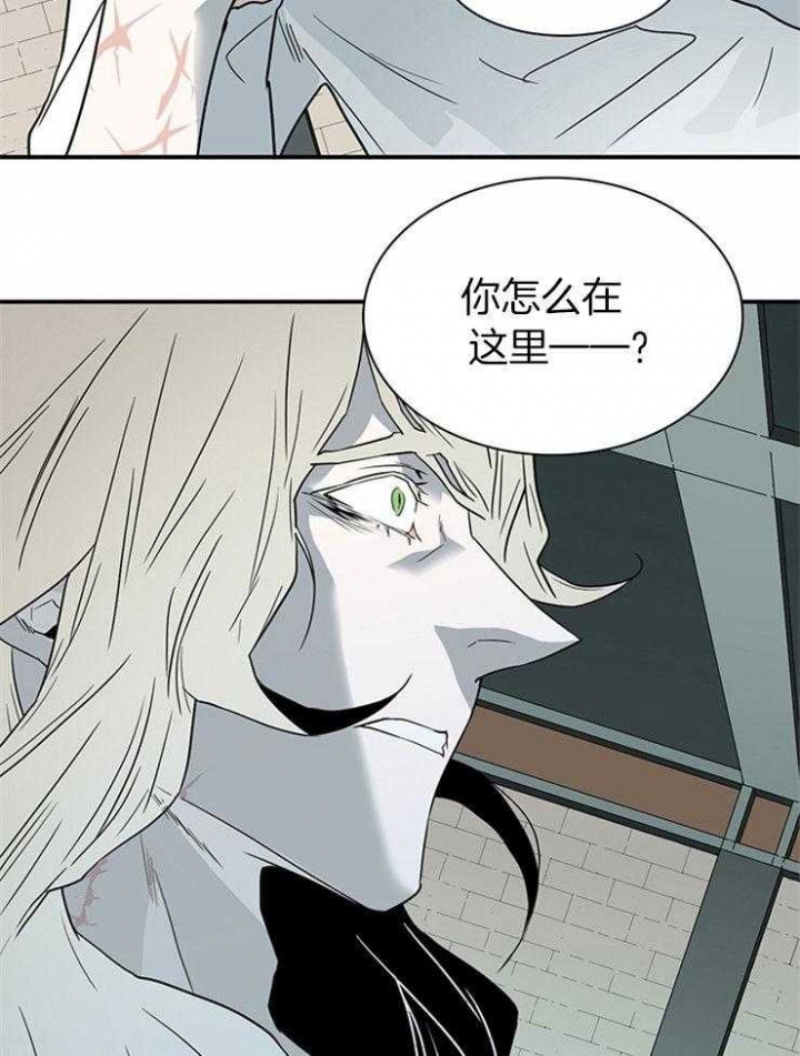 《Dear door》漫画最新章节第215话免费下拉式在线观看章节第【5】张图片