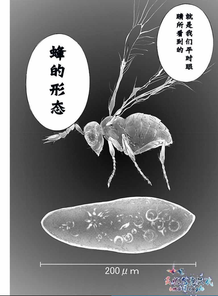 《姬乃的乐园~himenospia~》漫画最新章节第2话免费下拉式在线观看章节第【4】张图片