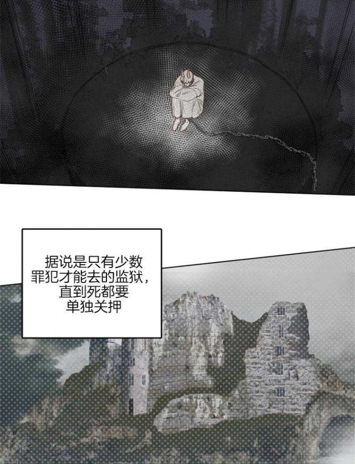 《奇幻魔法师》漫画最新章节第43话免费下拉式在线观看章节第【7】张图片