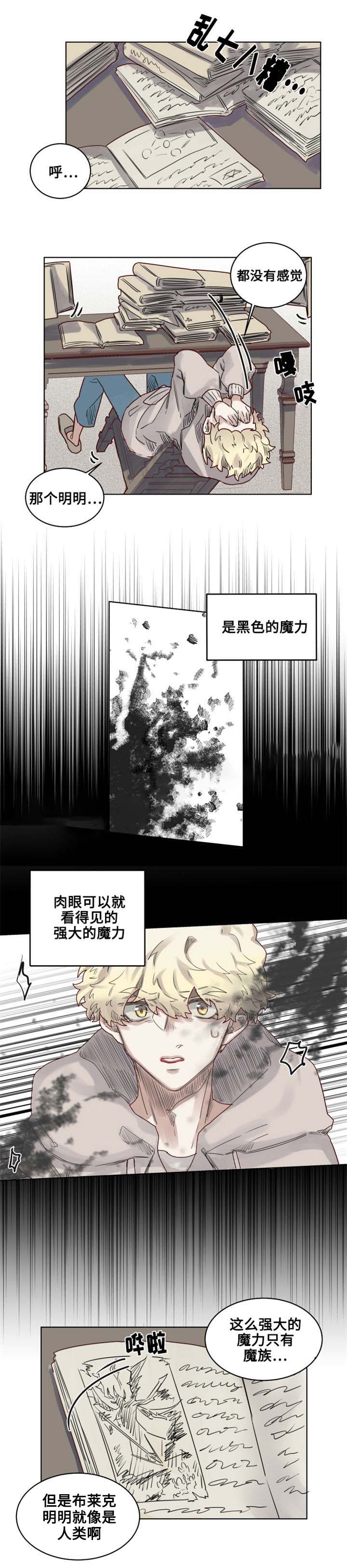 《奇幻魔法师》漫画最新章节第14话免费下拉式在线观看章节第【3】张图片