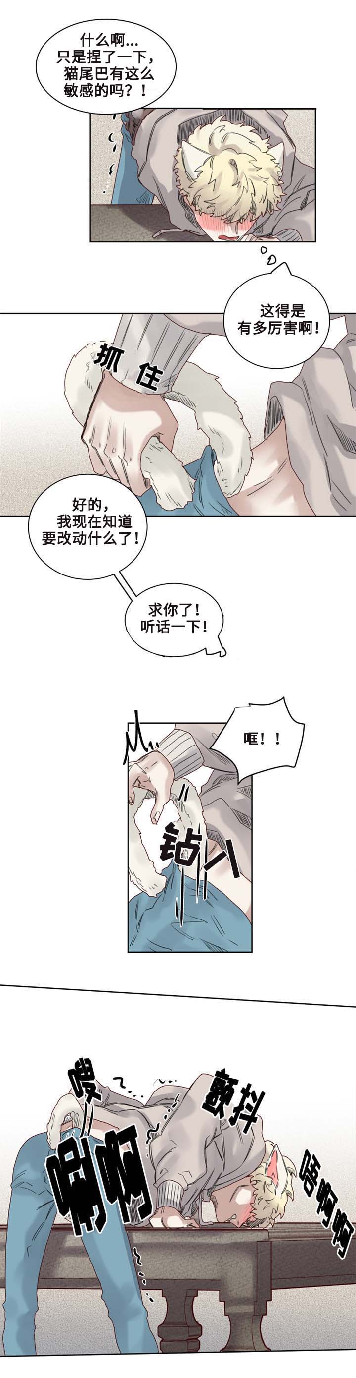 《奇幻魔法师》漫画最新章节第9话免费下拉式在线观看章节第【10】张图片