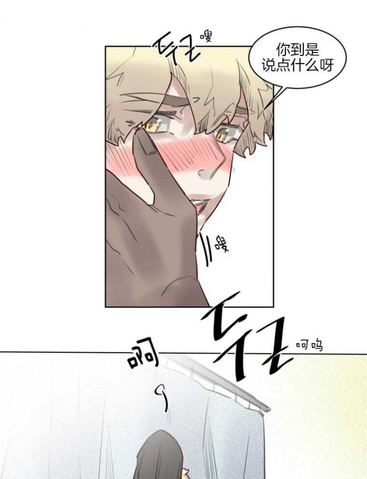 《奇幻魔法师》漫画最新章节第43话免费下拉式在线观看章节第【17】张图片