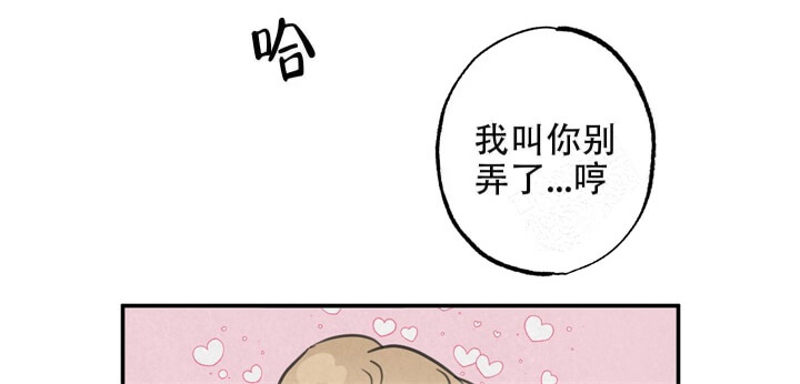 《丛林游戏(完结+外传)》漫画最新章节第16话免费下拉式在线观看章节第【19】张图片