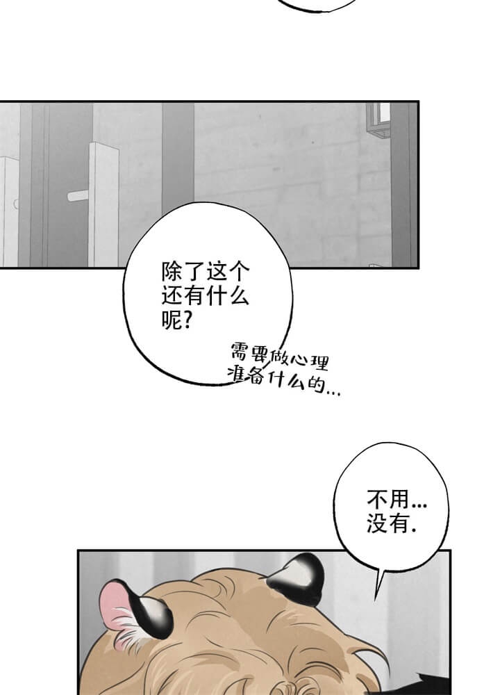 《丛林游戏(完结+外传)》漫画最新章节第17话免费下拉式在线观看章节第【15】张图片