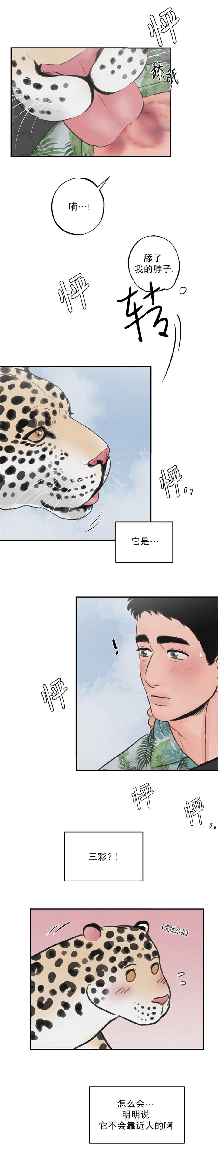 《丛林游戏(完结+外传)》漫画最新章节第11话免费下拉式在线观看章节第【12】张图片