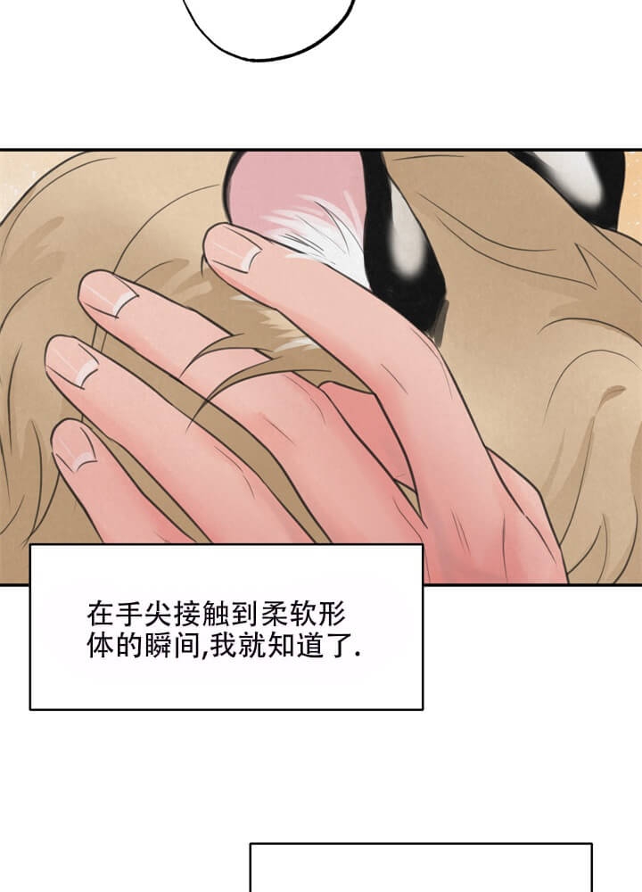 《丛林游戏(完结+外传)》漫画最新章节第17话免费下拉式在线观看章节第【8】张图片