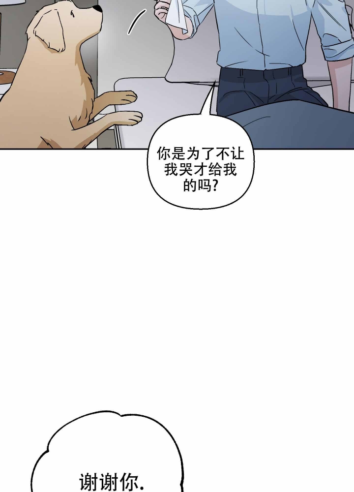 《汪汪男神》漫画最新章节第10话免费下拉式在线观看章节第【39】张图片