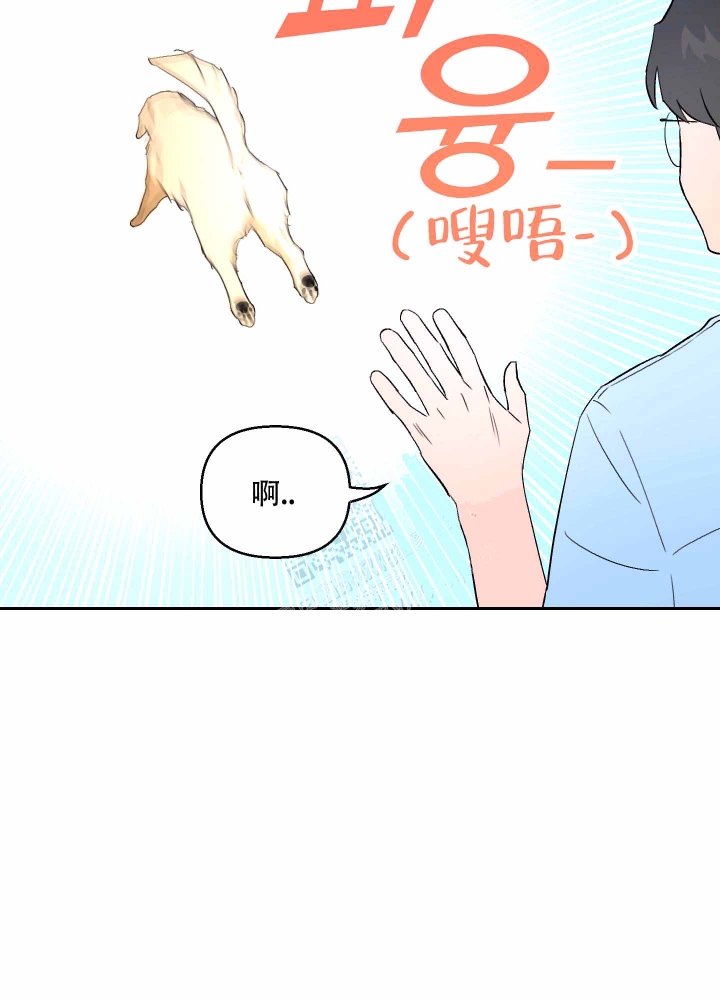 《汪汪男神》漫画最新章节第5话免费下拉式在线观看章节第【6】张图片