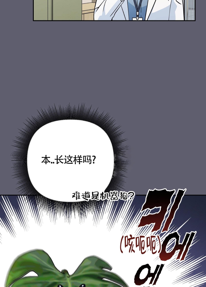 《汪汪男神》漫画最新章节第17话免费下拉式在线观看章节第【28】张图片