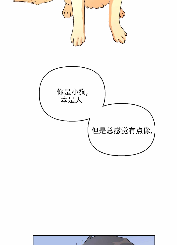 《汪汪男神》漫画最新章节第10话免费下拉式在线观看章节第【22】张图片