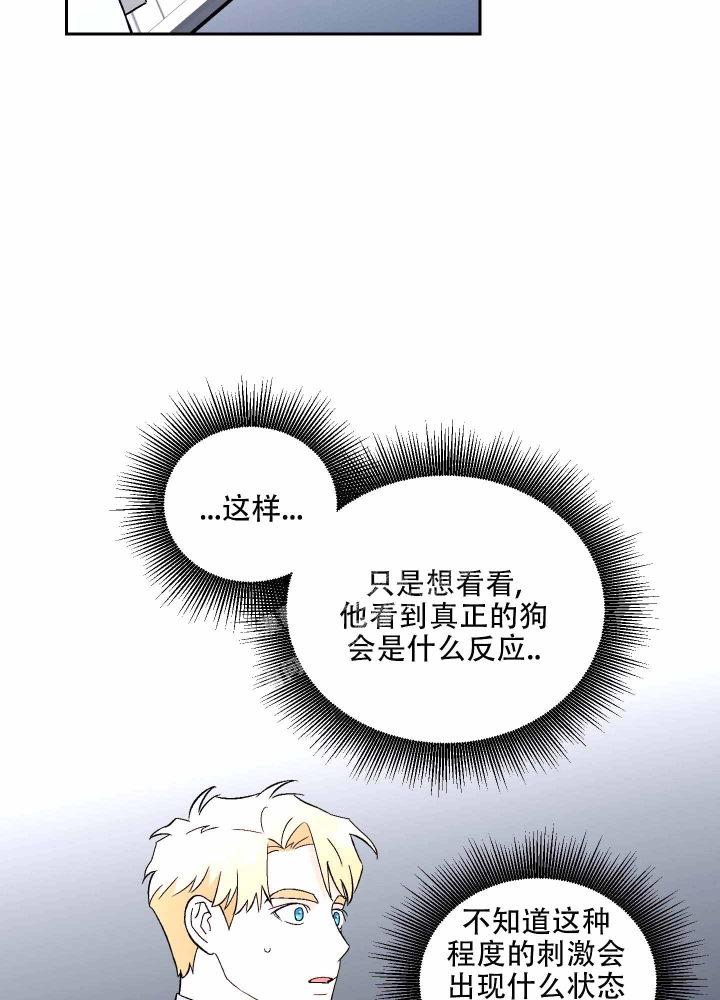 《汪汪男神》漫画最新章节第6话免费下拉式在线观看章节第【33】张图片