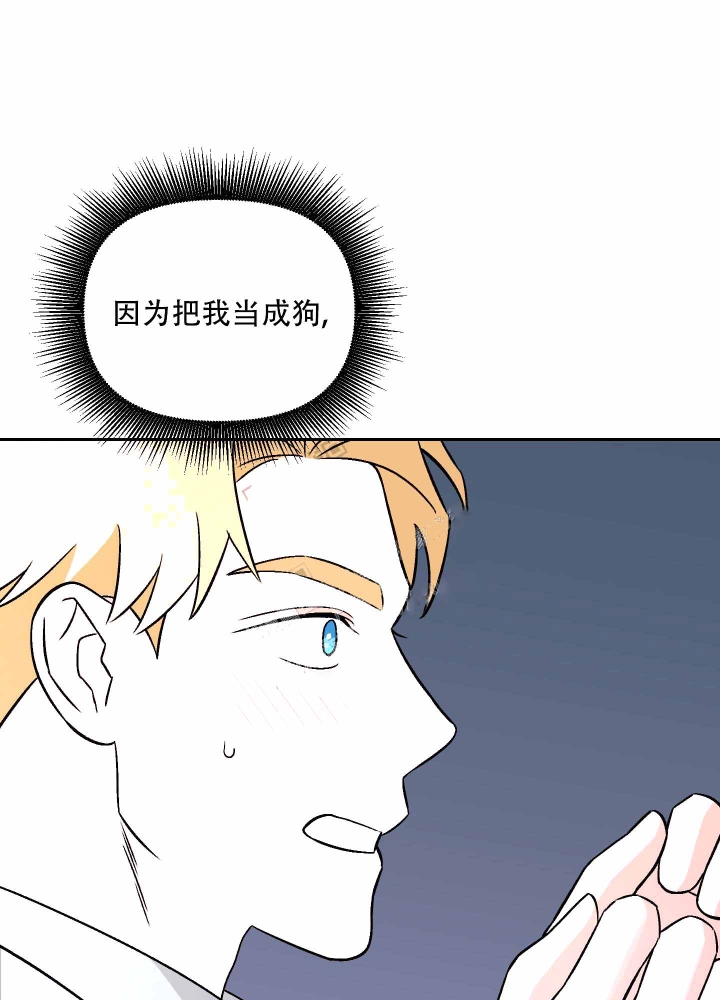 《汪汪男神》漫画最新章节第11话免费下拉式在线观看章节第【3】张图片