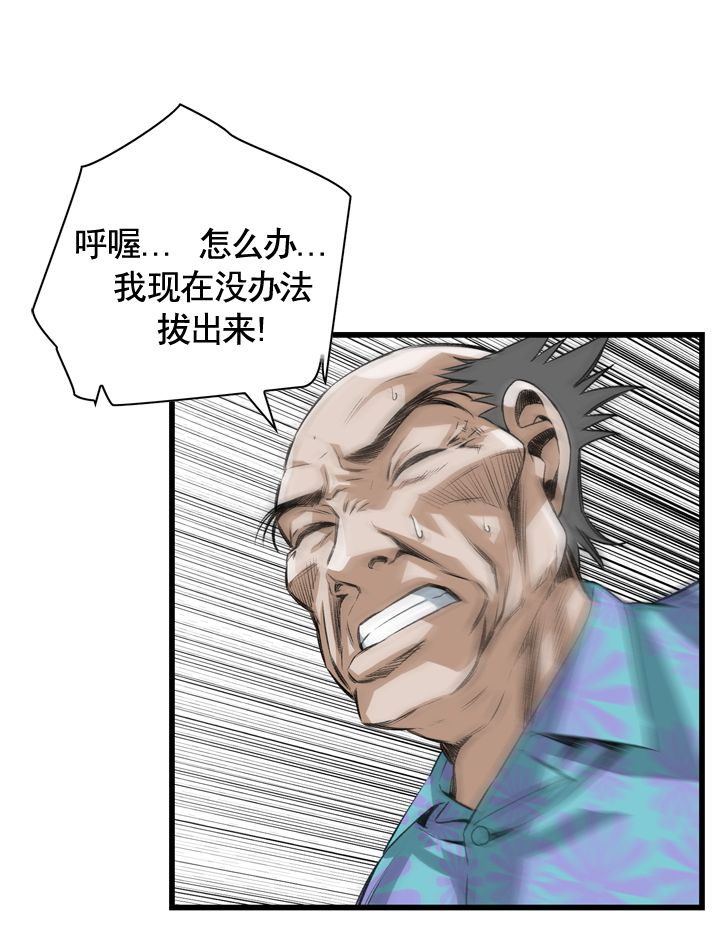 《窥视者第二季》漫画最新章节第66话免费下拉式在线观看章节第【10】张图片