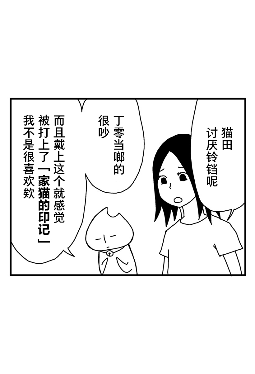 《猫田日和》漫画最新章节第5话免费下拉式在线观看章节第【3】张图片