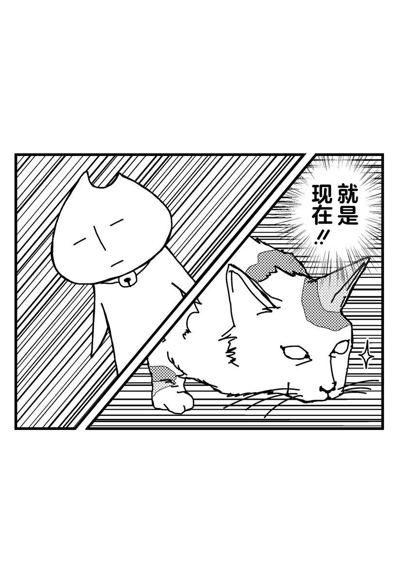 《猫田日和》漫画最新章节第8话免费下拉式在线观看章节第【10】张图片