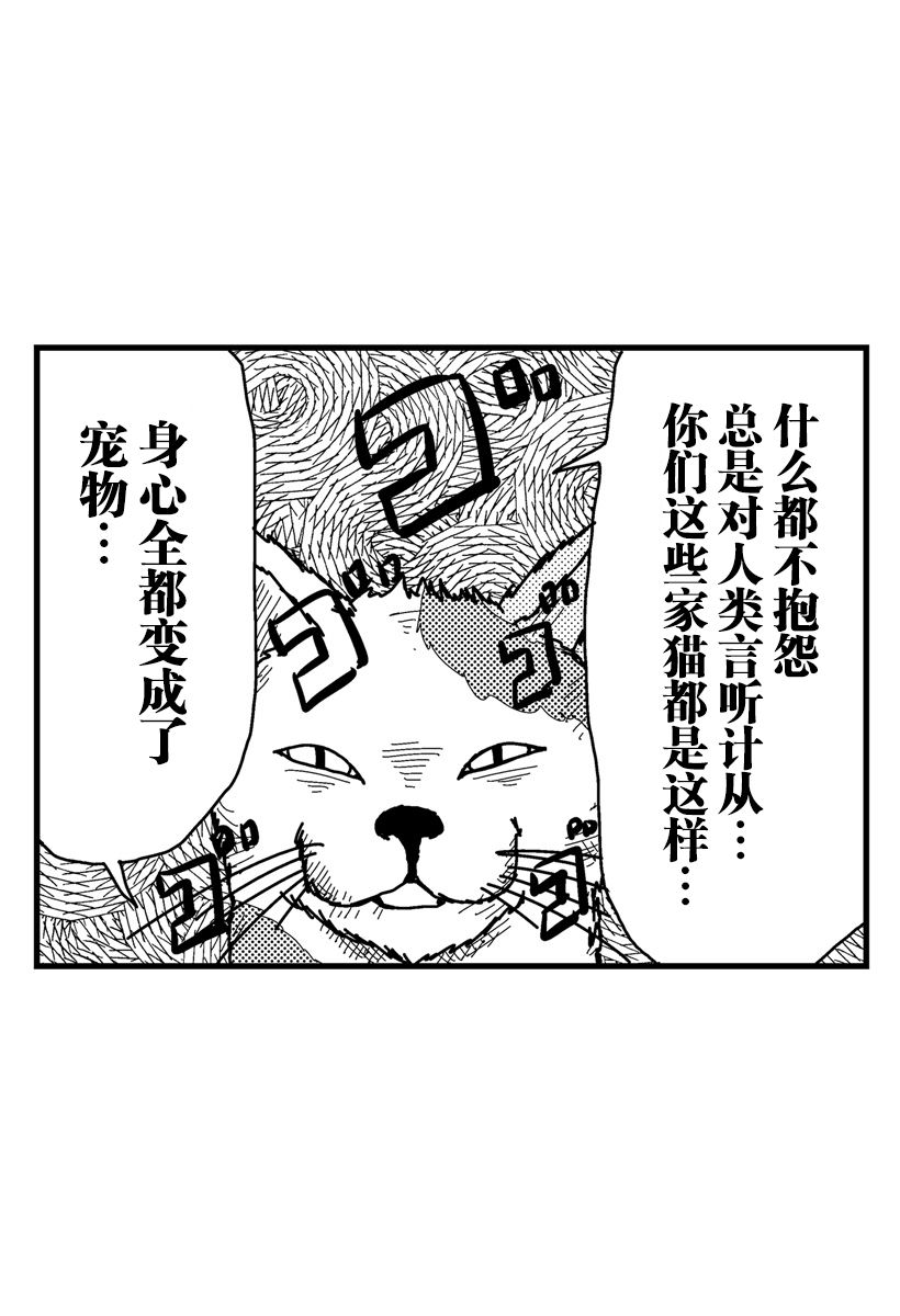 《猫田日和》漫画最新章节第7话免费下拉式在线观看章节第【10】张图片