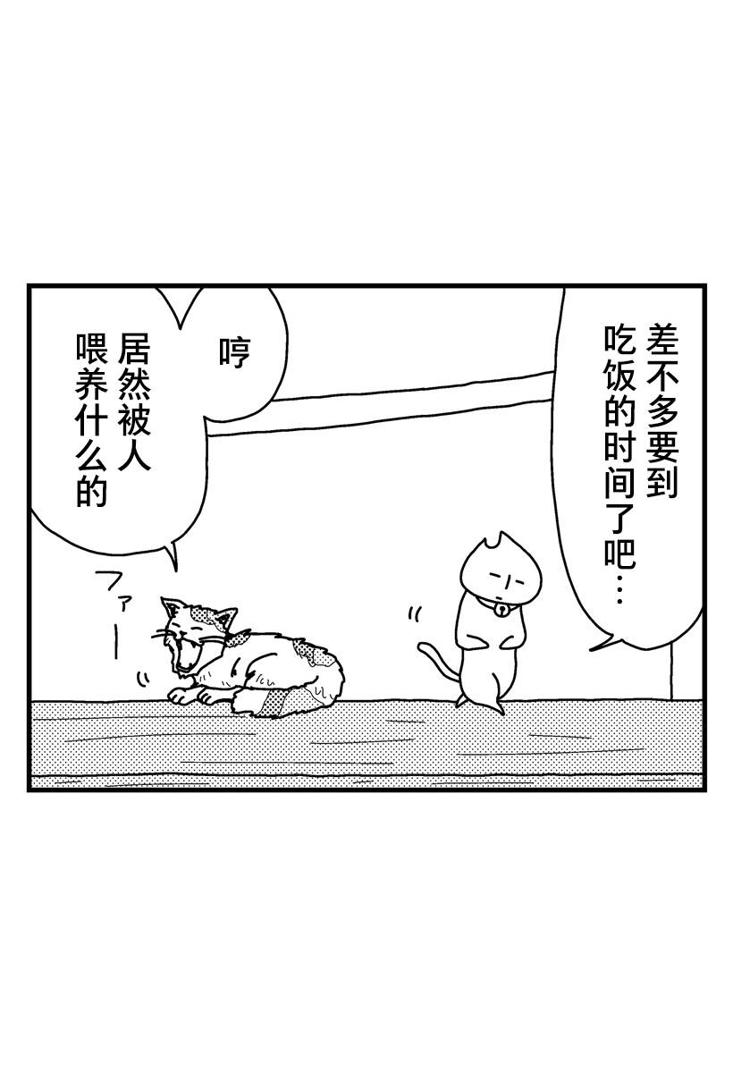 《猫田日和》漫画最新章节第8话免费下拉式在线观看章节第【2】张图片