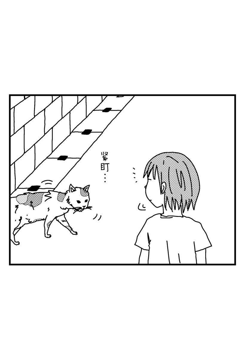 《猫田日和》漫画最新章节第8话免费下拉式在线观看章节第【9】张图片