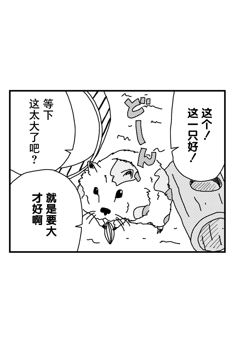 《猫田日和》漫画最新章节第5话免费下拉式在线观看章节第【14】张图片