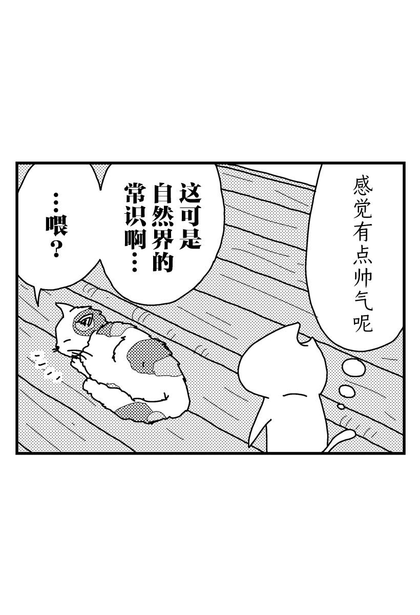 《猫田日和》漫画最新章节第8话免费下拉式在线观看章节第【5】张图片