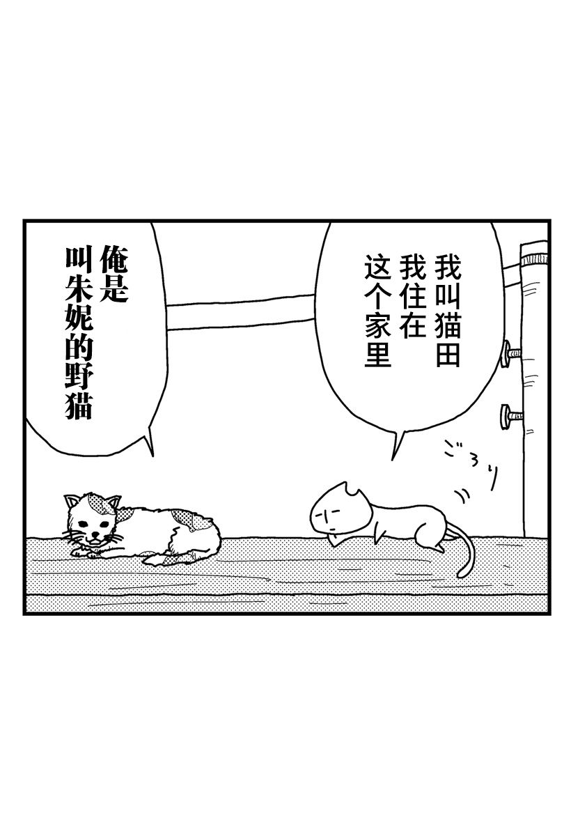 《猫田日和》漫画最新章节第7话免费下拉式在线观看章节第【6】张图片