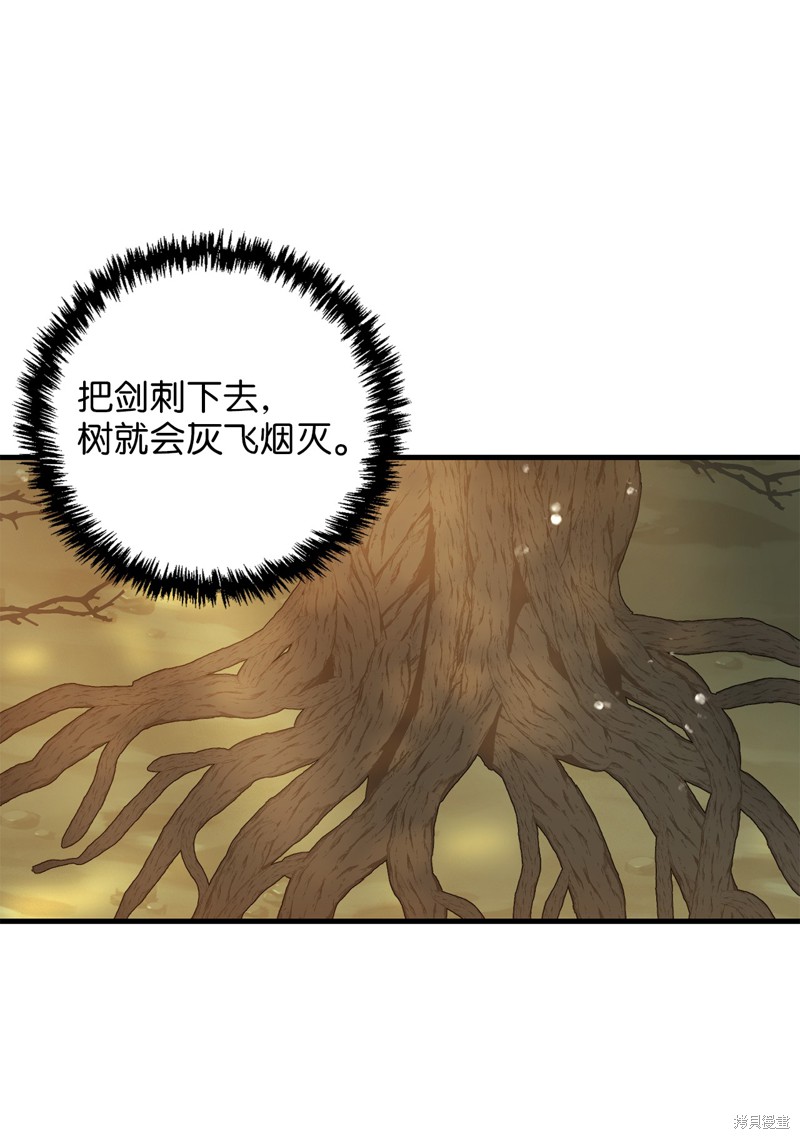 《我的皇后性别不明》漫画最新章节第3话免费下拉式在线观看章节第【71】张图片