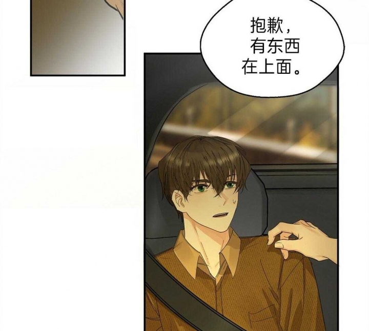 《苦柠檬》漫画最新章节第11话免费下拉式在线观看章节第【11】张图片