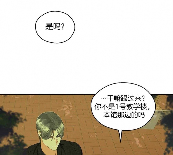 《苦柠檬》漫画最新章节第63话免费下拉式在线观看章节第【33】张图片