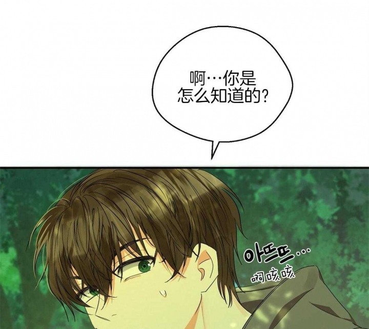 《苦柠檬》漫画最新章节第36话免费下拉式在线观看章节第【51】张图片