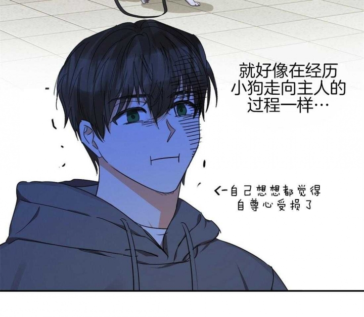 《苦柠檬》漫画最新章节第37话免费下拉式在线观看章节第【20】张图片