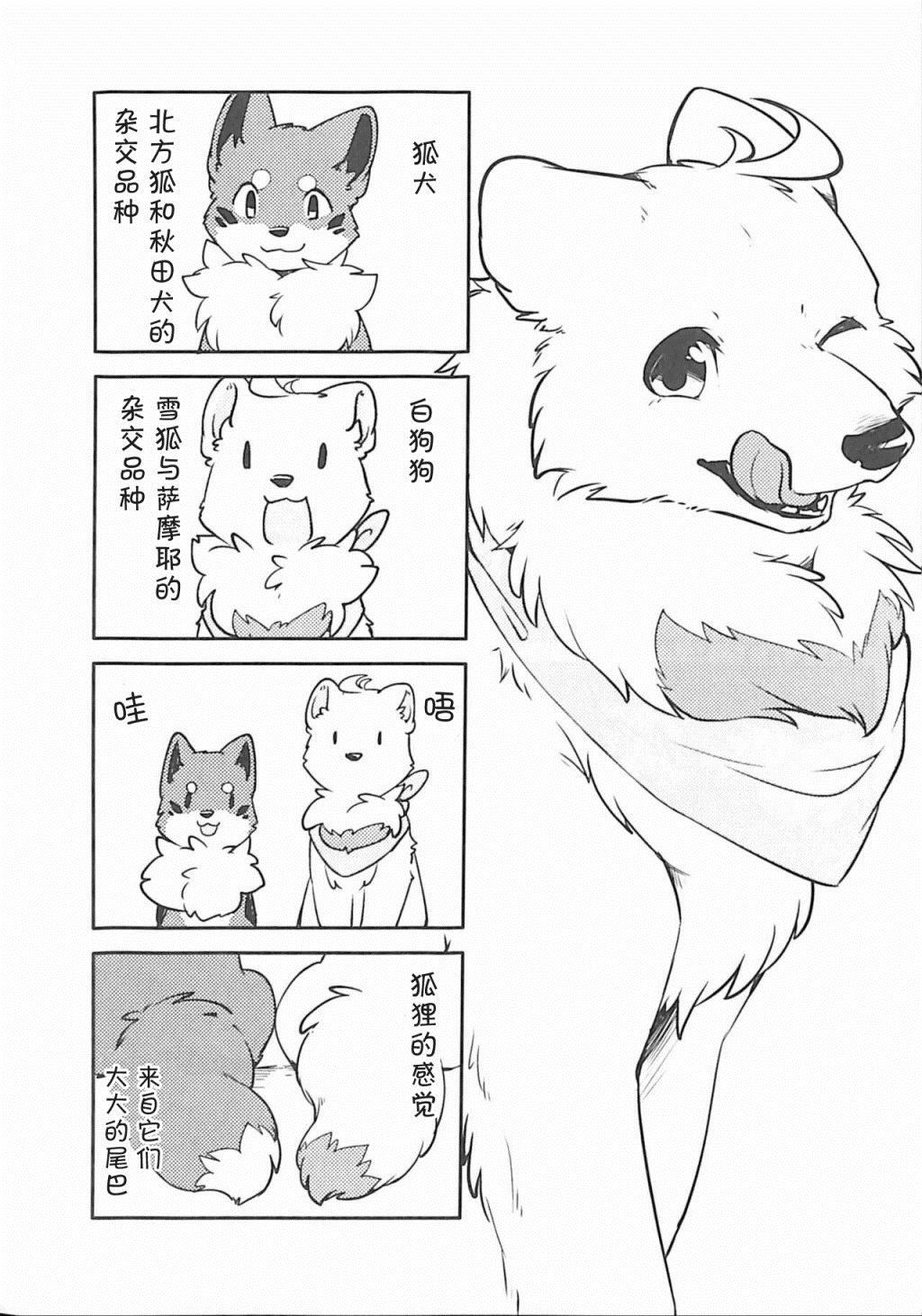 《狐犬》漫画最新章节第2话免费下拉式在线观看章节第【7】张图片