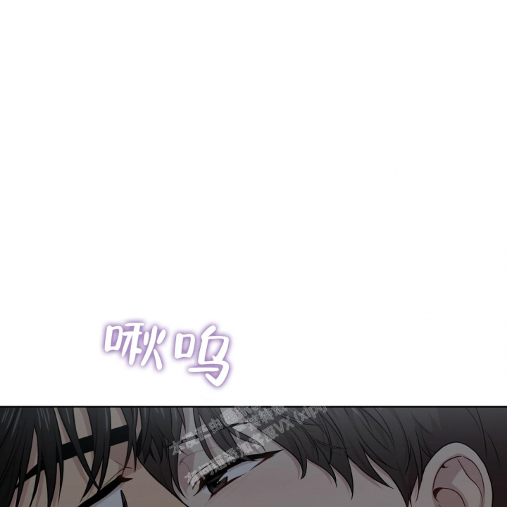 《热情(I+II季)》漫画最新章节第116话免费下拉式在线观看章节第【11】张图片