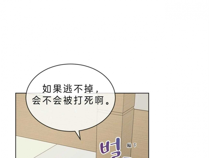 《热情(I+II季)》漫画最新章节第51话免费下拉式在线观看章节第【27】张图片