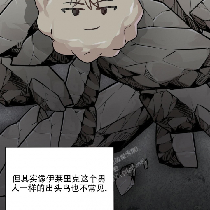 《热情(I+II季)》漫画最新章节第115话免费下拉式在线观看章节第【48】张图片