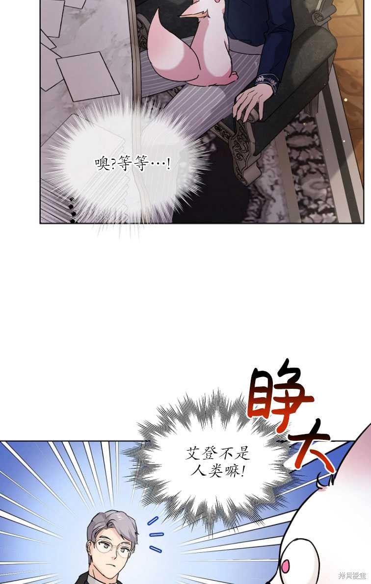 《转生为神兽宝宝》漫画最新章节第7话免费下拉式在线观看章节第【36】张图片