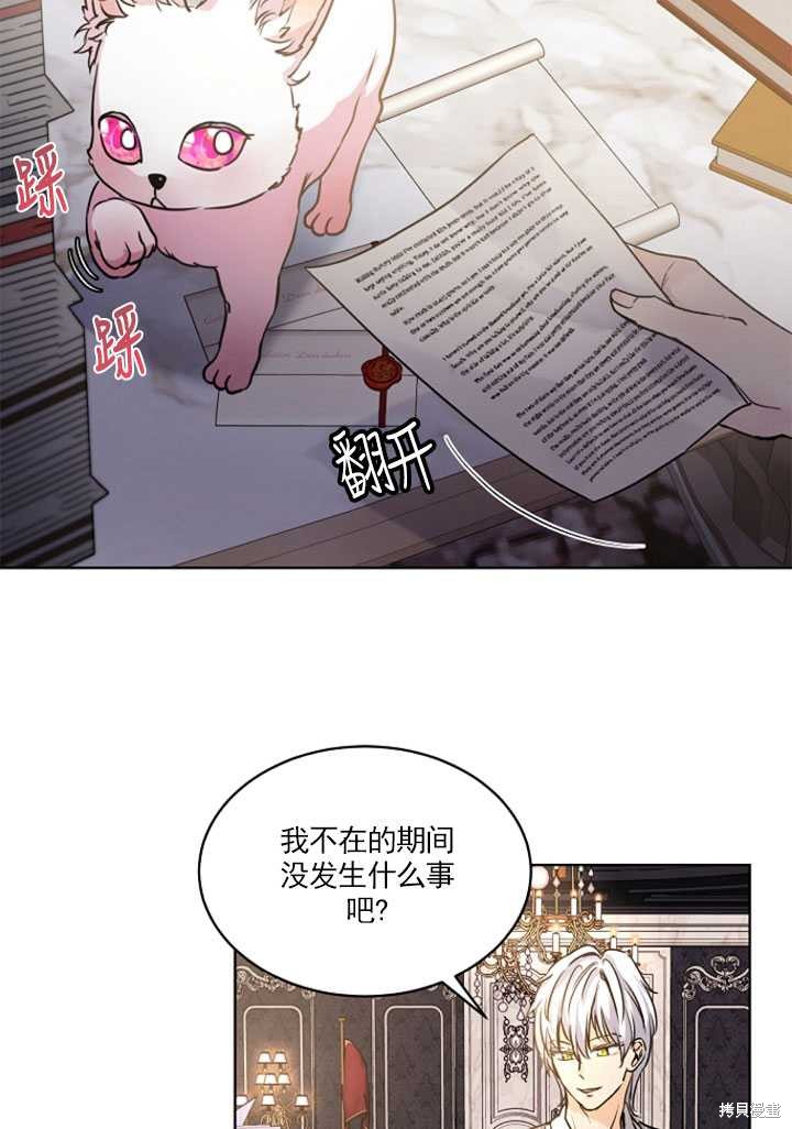 《转生为神兽宝宝》漫画最新章节第3话免费下拉式在线观看章节第【35】张图片