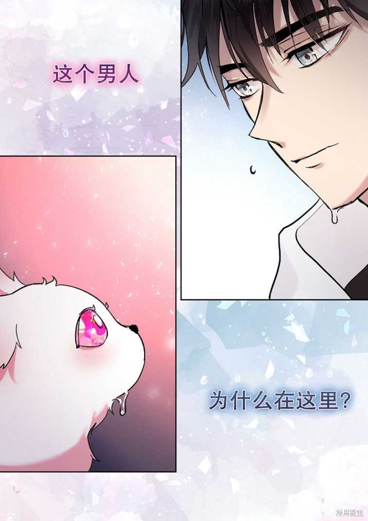 《转生为神兽宝宝》漫画最新章节第10话免费下拉式在线观看章节第【31】张图片