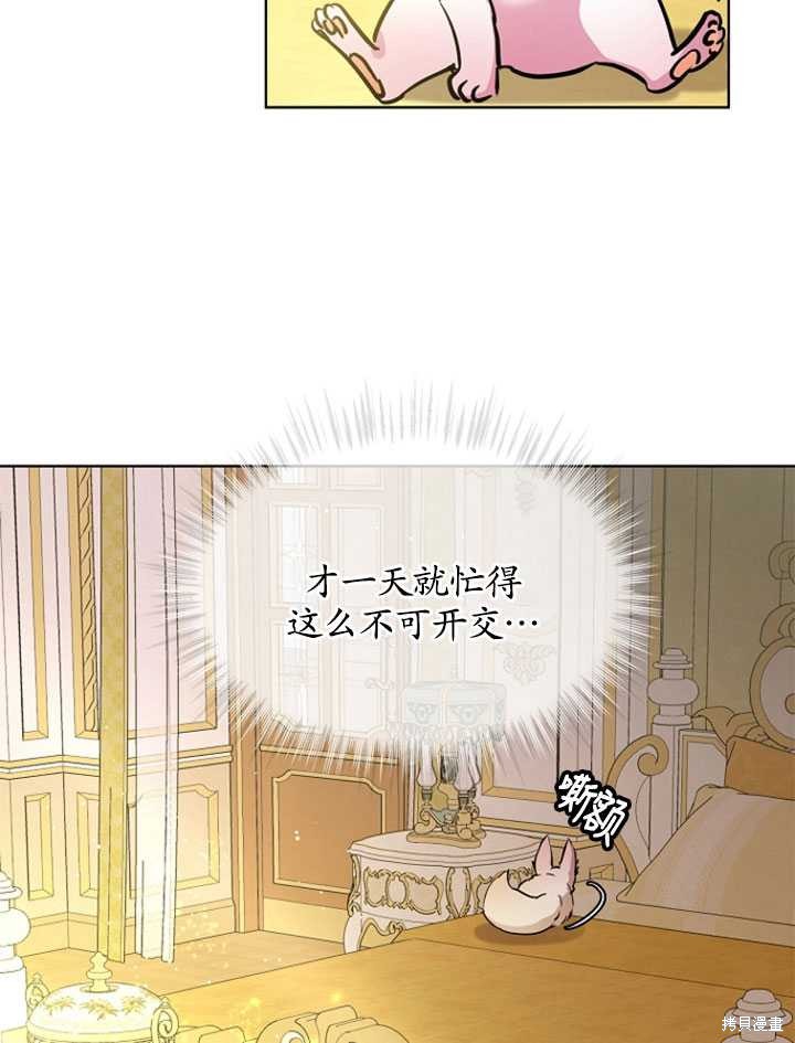 《转生为神兽宝宝》漫画最新章节第3话免费下拉式在线观看章节第【58】张图片