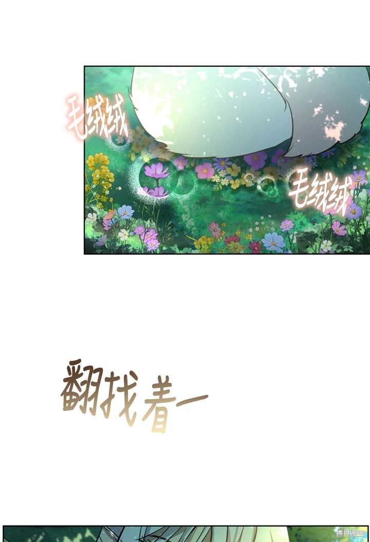 《转生为神兽宝宝》漫画最新章节第1话免费下拉式在线观看章节第【4】张图片