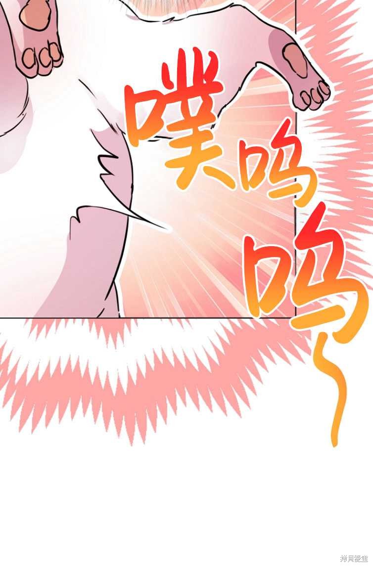 《转生为神兽宝宝》漫画最新章节第4话免费下拉式在线观看章节第【5】张图片