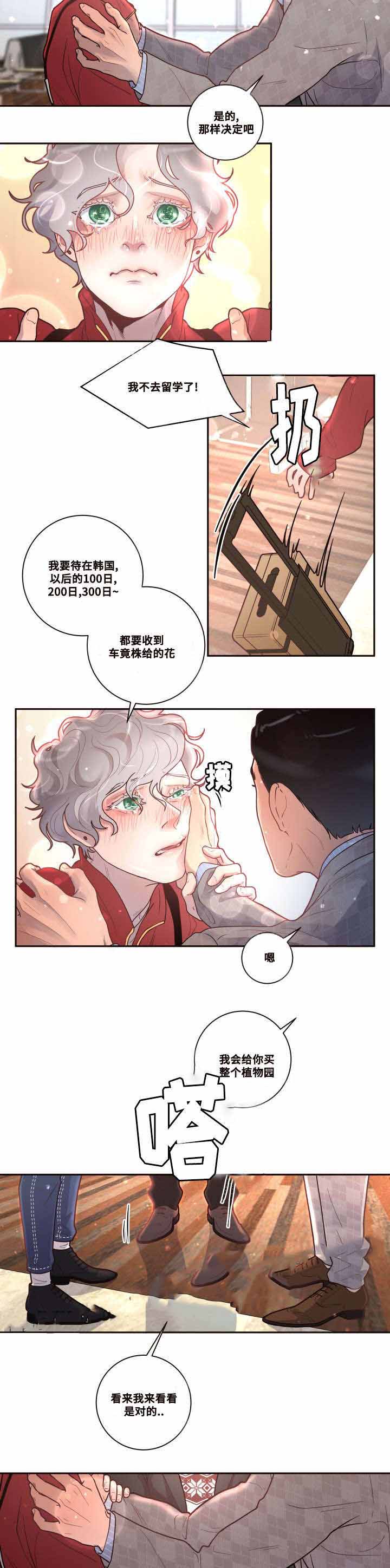 《勾引alpha的方法(番外)》漫画最新章节第40话免费下拉式在线观看章节第【8】张图片