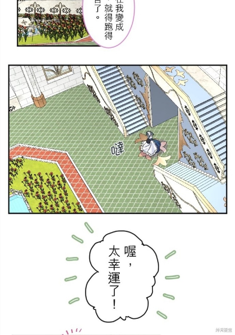 《转生侍女的王宫奋斗记》漫画最新章节第63话免费下拉式在线观看章节第【37】张图片