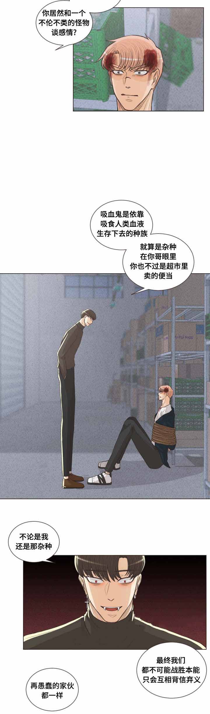 《人鬼结界/吸血鬼》漫画最新章节第61话免费下拉式在线观看章节第【25】张图片