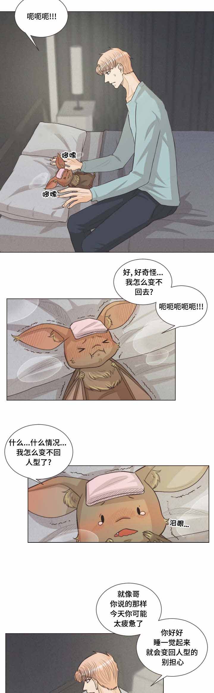 《人鬼结界/吸血鬼》漫画最新章节第41话免费下拉式在线观看章节第【5】张图片