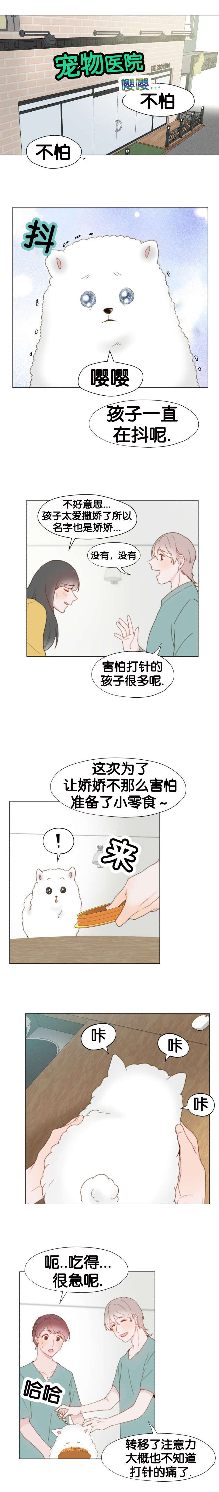 《重组兄弟》漫画最新章节第21话免费下拉式在线观看章节第【7】张图片