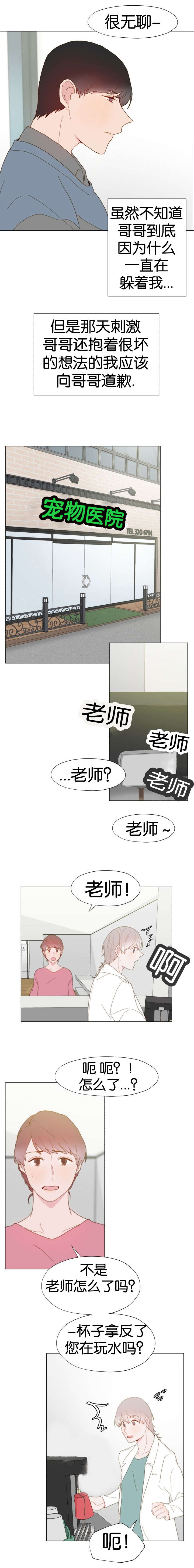 《重组兄弟》漫画最新章节第19话免费下拉式在线观看章节第【5】张图片