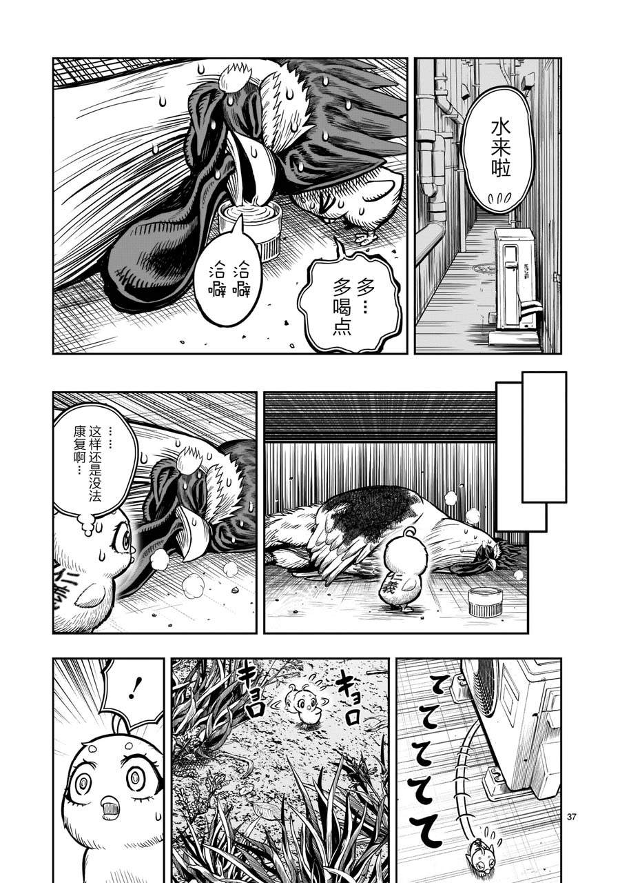 《社会我鸡哥，人狠话不多》漫画最新章节第6话 鸽面鸟形免费下拉式在线观看章节第【37】张图片