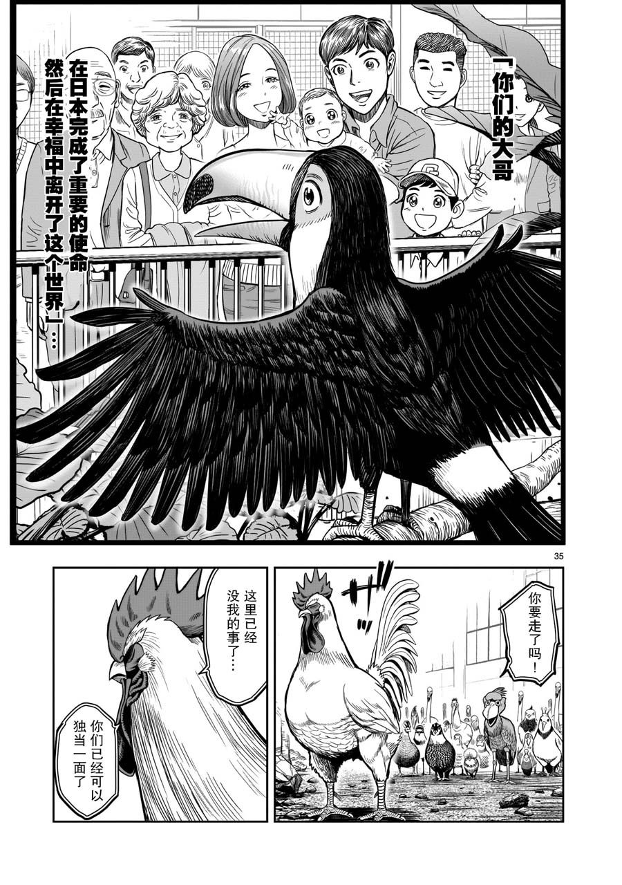 《社会我鸡哥，人狠话不多》漫画最新章节第3话 越乌南枝免费下拉式在线观看章节第【34】张图片